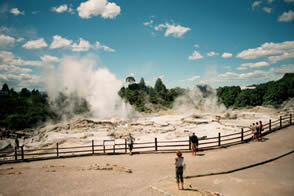 Whakarewarewa Geyser Carl Lindberg